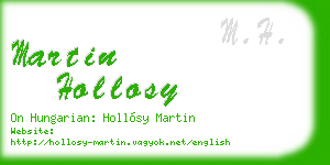 martin hollosy business card